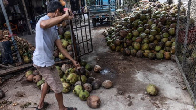 Cơn khát năng lượng và bài toán an ninh lương thực tại Đông Nam Á - Ảnh 7.