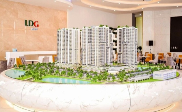 Một Thành viên HĐQT LDG xin từ nhiệm - Ảnh 1.