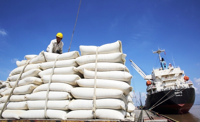 Giữa lúc láng giềng ôm kho gạo 5 triệu tấn, một nước Đông Nam Á vẫn tăng mạnh mua gạo Việt - Ảnh 1.