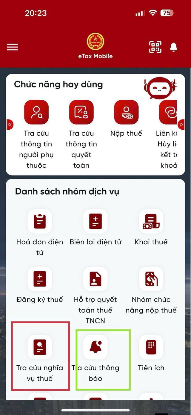 Cơ quan thuế cảnh báo người dân sẽ bị tạm hoãn xuất cảnh nếu rơi vào 4 trường hợp này - Ảnh 1.