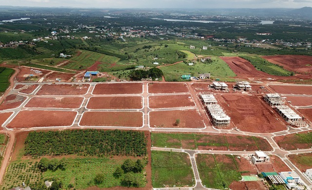 TS Nguyễn Văn Đính: Từng có thời mua bất động sản ở nơi không có hạ tầng, không có đường vào vẫn thắng, nhưng bây giờ đã khác - Ảnh 2.