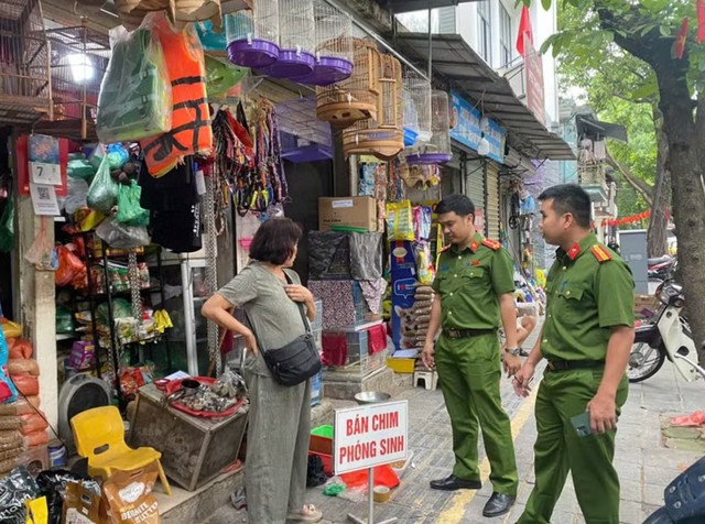 Nuôi chim phóng sinh, 3 hộ kinh doanh bị tịch thu hàng - Ảnh 2.