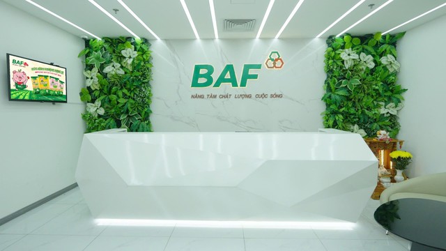 Baf Việt Nam thâu tóm thêm doanh nghiệp chăn nuôi tại Quảng Trị - Ảnh 1.