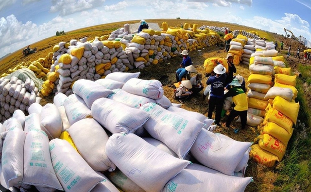 Việt Nam đón tin vui từ mặt hàng xuất khẩu chủ lực: Sản phẩm cao cấp ngày càng được ưa chuộng  - Ảnh 1.