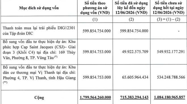 DIC Corp chưa giải ngân hết vốn huy động từ đợt chào bán 150 triệu cổ phiếu - Ảnh 1.