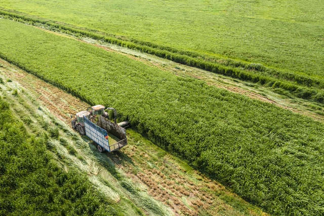 Vinamilk: 3 năm liên tiếp là doanh nghiệp sữa duy nhất của Việt Nam trong Fortune 500 Đông Nam Á - Ảnh 3.
