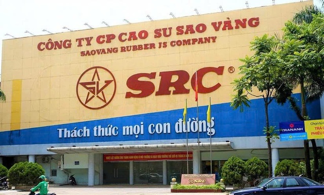 Cao su Sao Vàng tăng vốn lên gần 365 tỷ đồng sau đợt thưởng cổ phiếu - Ảnh 1.