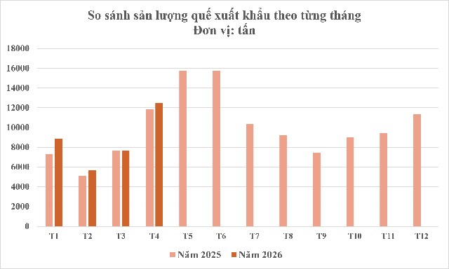 Một loại cây thân gỗ Việt Nam trồng rất nhiều nhưng thế giới lại quý hiếm: Vừa mang về hơn 89 triệu USD, giá hơn 2.500 USD/tấn - Ảnh 2.
