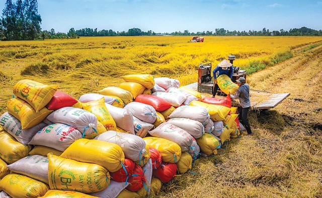 Phát hiện 10 tàu lớn rời cảng Việt Nam, cập bến quốc gia láng giềng - mang theo gần 80.000 tấn hàng thực hiện nhiệm vụ quan trọng  - Ảnh 2.