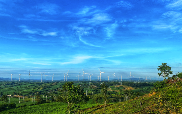 Phong điện Chơ Long báo lỗ gần 123 tỷ đồng nửa đầu năm 2025 - Ảnh 1.