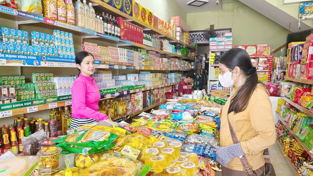 Ông Đậu Anh Tuấn VCCI: Tỷ lệ nợ thuế hộ kinh doanh tỷ lệ vẫn ở mức 10,2%, cao hơn mục tiêu đề ra - Ảnh 2.