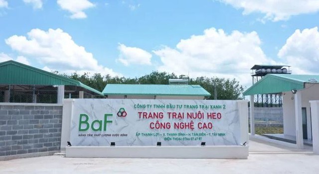 Baf Việt Nam chốt quyền nhận cổ phiếu thưởng và cổ tức tổng tỷ lệ 20% - Ảnh 1.