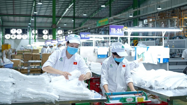 An Phát Holdings nâng sở hữu lên hơn 50% vốn Nhựa An Phát Xanh - Ảnh 1.