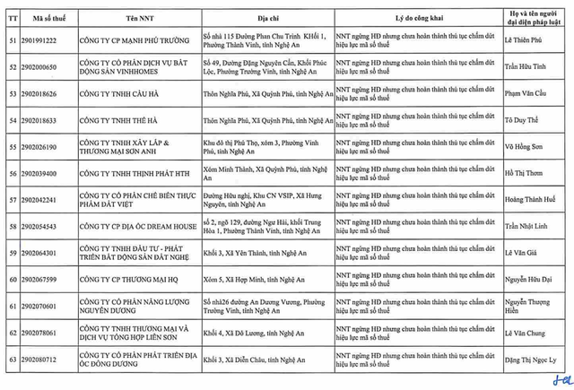 Cơ quan thuế gửi thông báo quan trọng đến 397 người nộp thuế có tên trong danh sách sau - Ảnh 8.