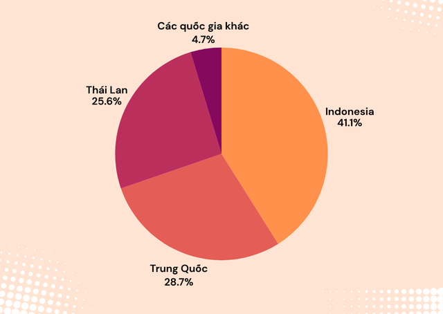 Không phải Trung Quốc, quốc gia này mới là nguồn cung ô tô lớn nhất vào Việt Nam - hàng loạt mẫu xe bán chạy đều xuất xứ từ đây - Ảnh 2.