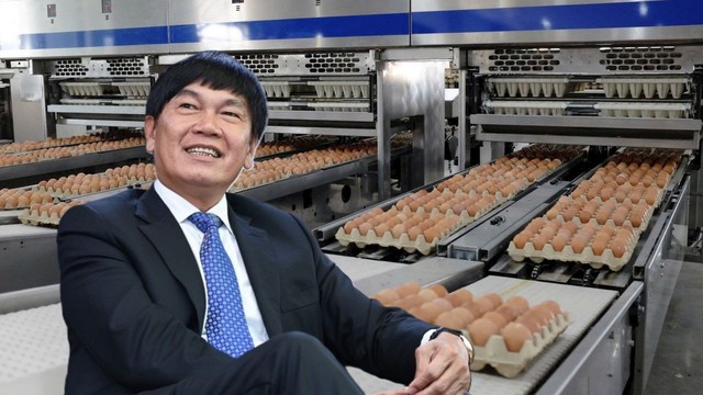 Nửa đầu năm, tỷ phú Trần Đình Long bán ra hơn 200.000 con heo và 170 triệu quả trứng gà- Ảnh 1.