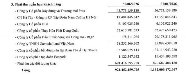 Phục Hưng Holdings chậm đóng bảo hiểm gần 2,5 tỷ đồng - Ảnh 2.