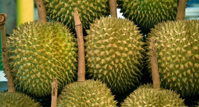 Hai quốc gia tỷ dân báo tin cực vui đến sầu riêng Việt Nam - Ảnh 1.