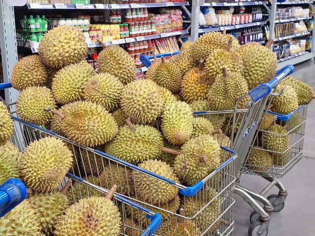 Phó Thủ tướng yêu cầu các địa phương quản lý chặt, không mở rộng diện tích trồng sầu riêng - Ảnh 2.