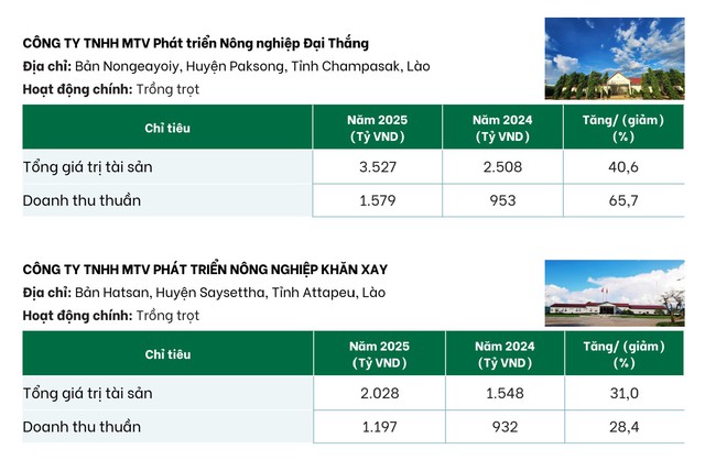 Bất ngờ với mức lương Công ty bầu Đức trả cho lao động tại Lào - Ảnh 2.