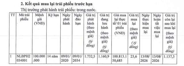 Dư nợ trái phiếu của Năng lượng Bắc Phương bao nhiêu? - Ảnh 1.