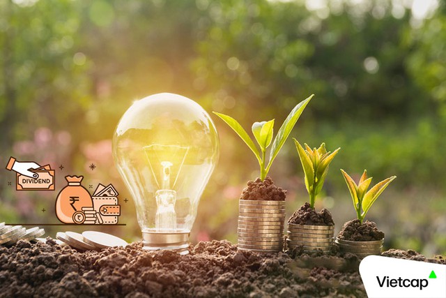 Lịch chốt quyền trả cổ tức trong tuần từ ngày 24/8-28/8, tỷ lệ cao nhất hơn 44% - Ảnh 1.