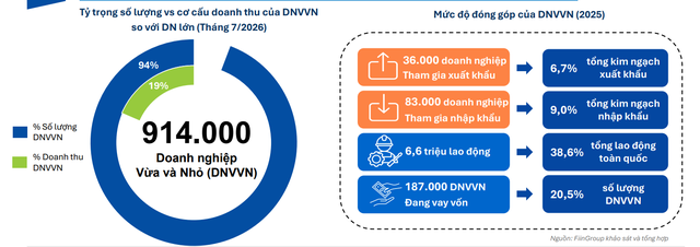 FiinGroup: Nhiều doanh nghiệp SME có thời gian hoạt động dài trên 5 năm, rủi ro ở mức trung bình và thấp nhưng chưa tiếp cận vốn vay - Ảnh 1.