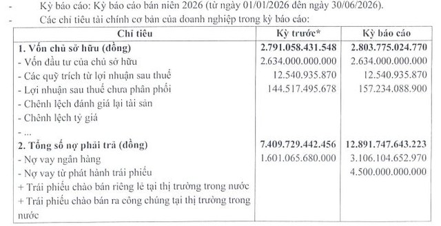 TNI Nam Quang đảo chiều lợi nhuận, dư nợ trái phiếu 4.500 tỷ đồng - Ảnh 1.