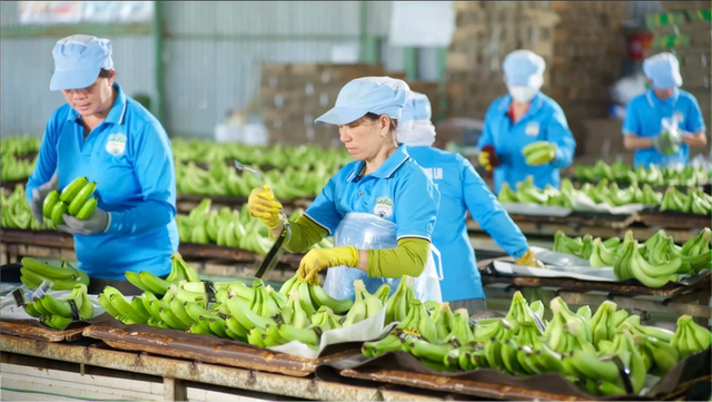 HAGL đã bán gần 15 triệu cổ phần tại HGI với giá thấp hơn 25% giá IPO - Ảnh 1.