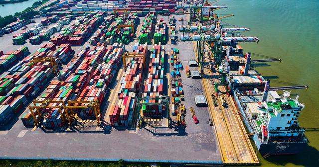 Viconship sắp “bỏ túi” gần 90 tỷ đồng cổ tức từ Cảng Xanh Vip - Ảnh 1.