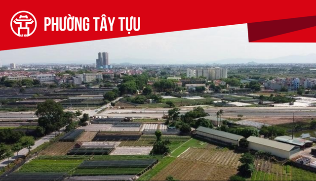 Đại An được giao, chuyển mục đích sử dụng đất làm dự án tại Tây Tựu - Ảnh 1.