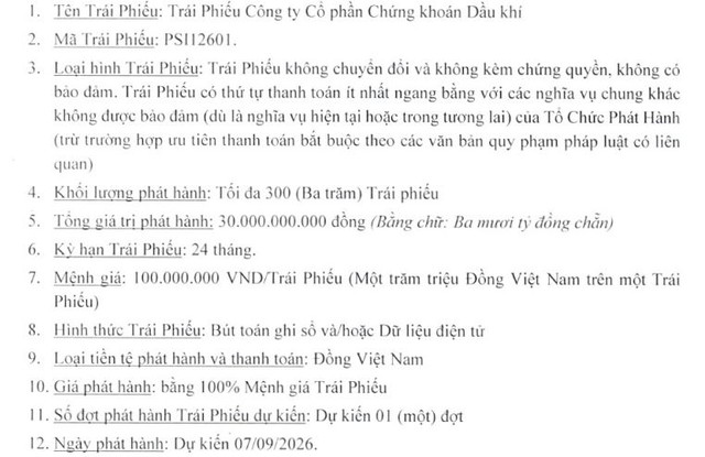Chứng khoán Dầu khí sắp phát hành trái phiếu riêng lẻ - Ảnh 1.