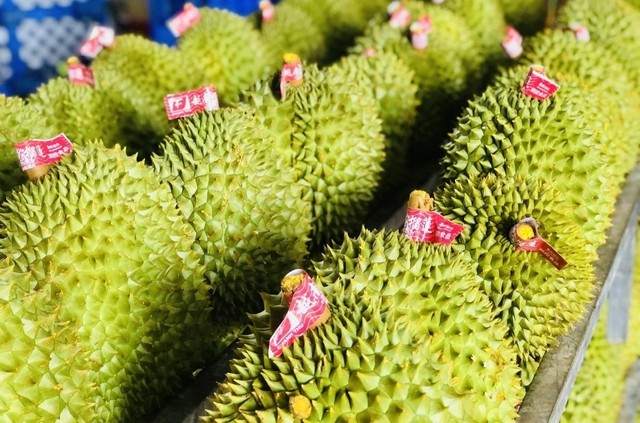 Đối thủ Việt Nam vừa thử một cách chưa từng làm với sầu riêng: Cho 2 tấn trái cây đi tàu biển tới Trung Quốc, bên trong container có một công nghệ đặc biệt - Ảnh 2.
