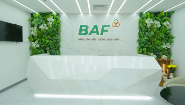 BAF Việt Nam dự kiến phát hành 8 triệu cổ phiếu ESOP- Ảnh 1.