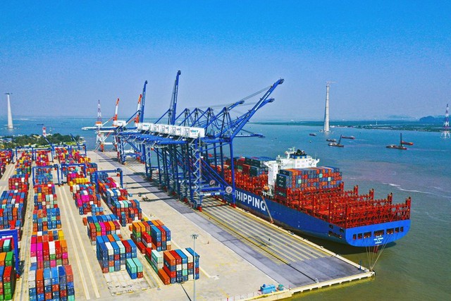 Hàng chục nghìn tấn hàng của Việt Nam được quốc gia láng giềng đổ tiền mua: 1/3 thế giới ưa chuộng, nước ta có diện tích trồng hơn 900.000 ha - Ảnh 1.