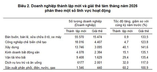 Mỗi tháng có 25.800 doanh nghiệp gia nhập và tái gia nhập thị trường - Ảnh 1.