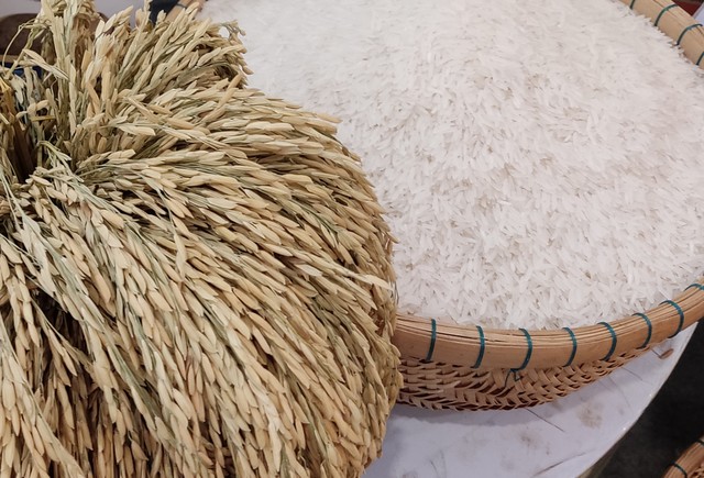 Giá xuất khẩu gạo tăng, nhưng đối thủ của Việt Nam, Thái Lan vẫn chưa thể vui mừng vì một lý do- Ảnh 1.
