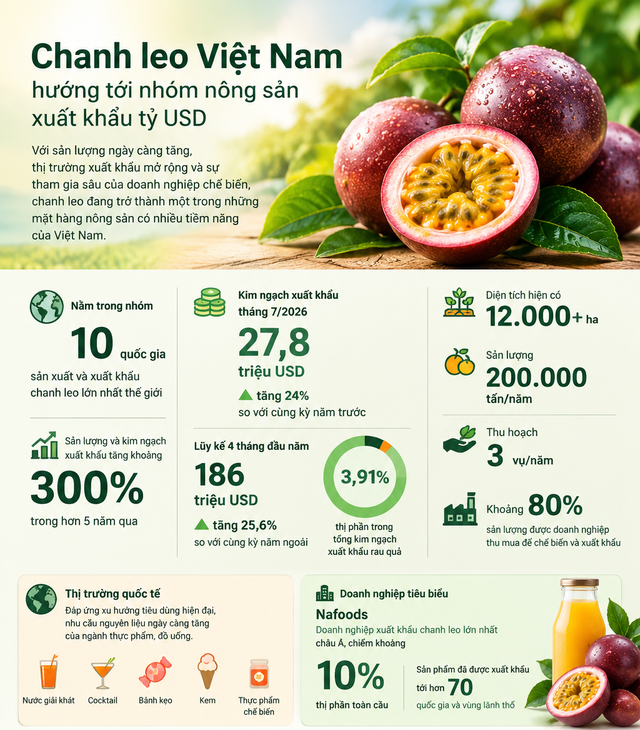 Một 'sản vật' triệu USD của Việt Nam được Trung Quốc ồ ạt thu mua, chuẩn bị sang Mỹ, nước ta là nhà xuất khẩu top 10 thế giới - Ảnh 2.