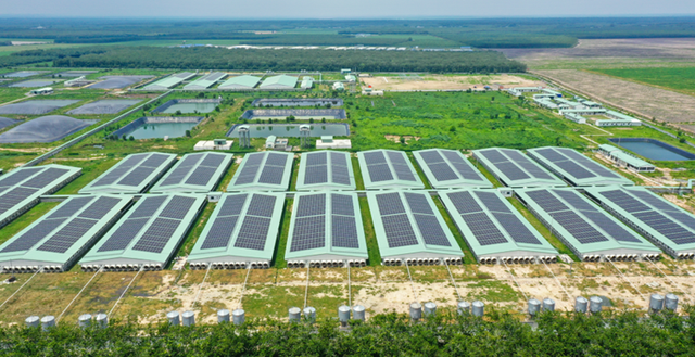 Baf Việt Nam thành lập công ty con chế biến thực phẩm tại Gia Lai - Ảnh 1.