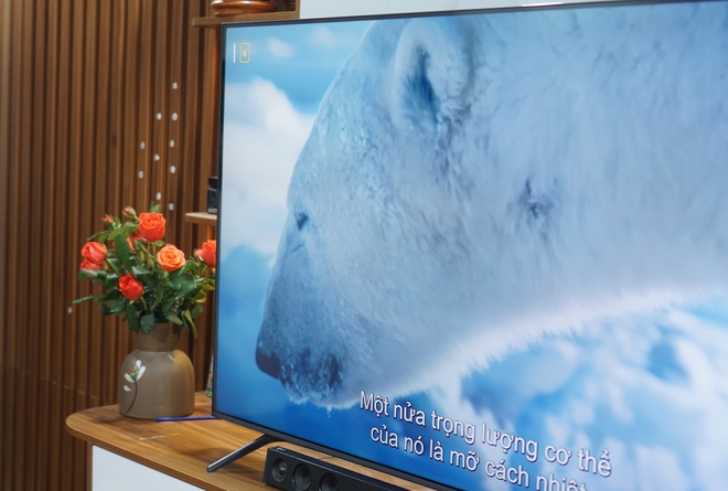 Đánh giá TCL 65C6K: TV QD-Mini LED sáng giá trong phân khúc dưới 20 triệu- Ảnh 7.