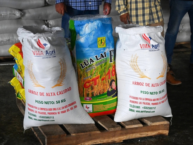 Cuba áp dụng “bí quyết” trồng lúa của Việt Nam, thu kết quả khiến lãnh đạo bất ngờ  - Ảnh 2.