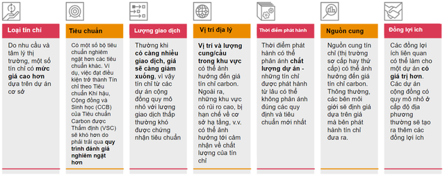 Để thị trường carbon trở thành đòn bẩy hữu hiệu cho mục tiêu Net Zero - Ảnh 3.