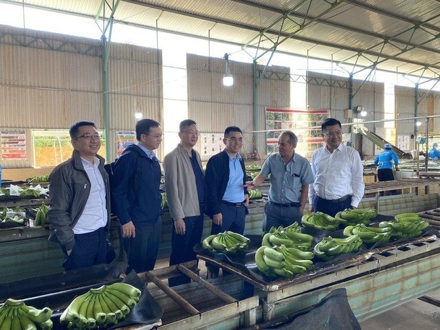 DN thay chân quỹ Việt Cát sẽ chi hơn 500 tỷ đồng để mua cổ phiếu của HAGL: Sở hữu nhiều đất "khủng", lợi nhuận 2022 gần 290 tỷ đồng - Ảnh 1. DN thay chân quỹ Việt Cát sẽ chi hơn 500 tỷ đồng để mua cổ phiếu của HAGL: Sở hữu nhiều đất "khủng", lợi nhuận 2022 gần 290 tỷ đồng - Ảnh 1.