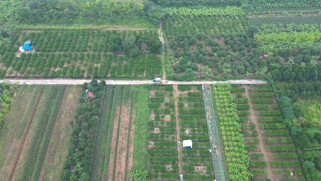 Những dự án đang chạy đua với thời gian giúp đưa Hoài Đức lên quận trong năm tới - Ảnh 11.