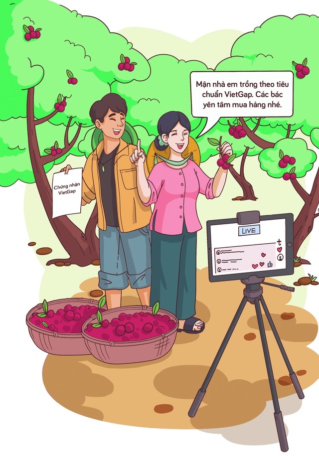 Nông dân Đồng Tháp bán xoài kiểu mới: Gắn mã QR Code rồi bán cả cây cho khách, chăm sóc, thu hoạch hộ, gửi tận nhà - Ảnh 2. Nông dân Đồng Tháp bán xoài kiểu mới: Gắn mã QR Code rồi bán cả cây cho khách, chăm sóc, thu hoạch hộ, gửi tận nhà - Ảnh 2.