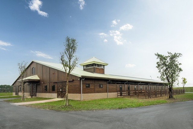 Tỷ phú Phạm Nhật Vượng xây học viện cưỡi ngựa dành riêng cho giới siêu giàu: Ngựa phiên bản giới hạn "cưỡi" máy bay về Việt Nam, tắm nước ấm, ở phòng điều hòa - Ảnh 1.