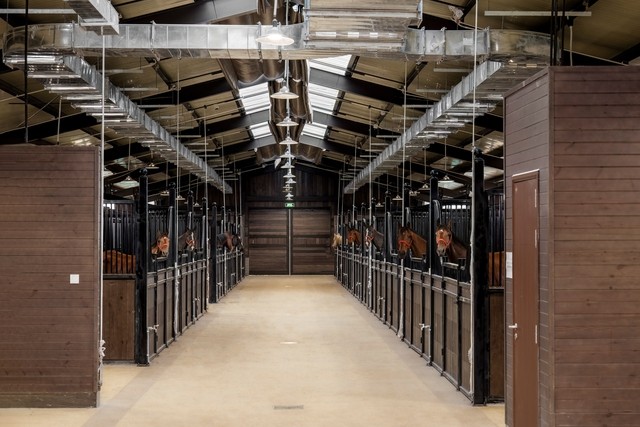 Tỷ phú Phạm Nhật Vượng xây học viện cưỡi ngựa dành riêng cho giới siêu giàu: Ngựa phiên bản giới hạn "cưỡi" máy bay về Việt Nam, tắm nước ấm, ở phòng điều hòa - Ảnh 3.