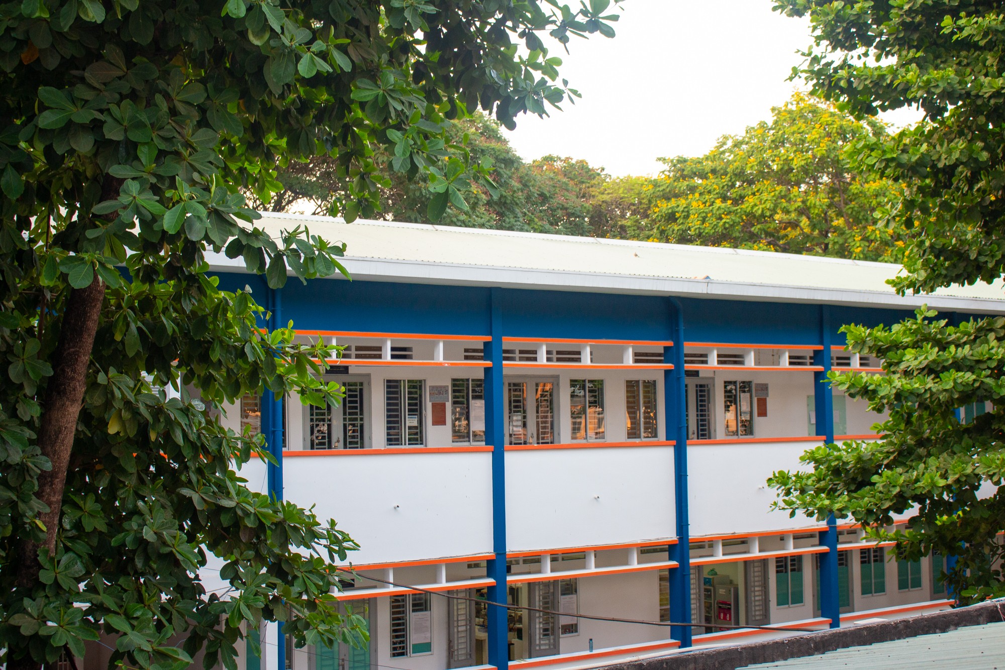 1 trường đại học là “lò” đào tạo tỷ phú nhưng sinh viên chỉ mơ ra được trường, mỗi năm có vài trăm người bị cho thôi học- Ảnh 11. 1 trường đại học là “lò” đào tạo tỷ phú nhưng sinh viên chỉ mơ ra được trường, mỗi năm có vài trăm người bị cho thôi học- Ảnh 11.
