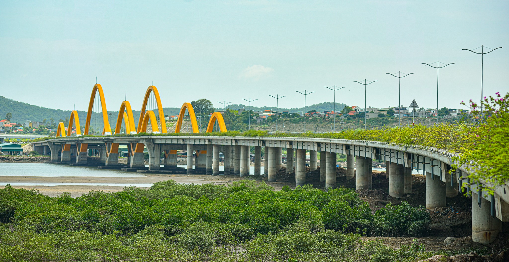 Vịnh biển chỉ rộng 18 km2 nhưng có đến 6 cây cầu kết nối, định hướng trở thành Sydney của Việt Nam- Ảnh 6.