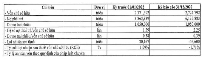 ket-qua-kinh-doanh-nam-2022-cua-cen-invest-1681723610.JPG